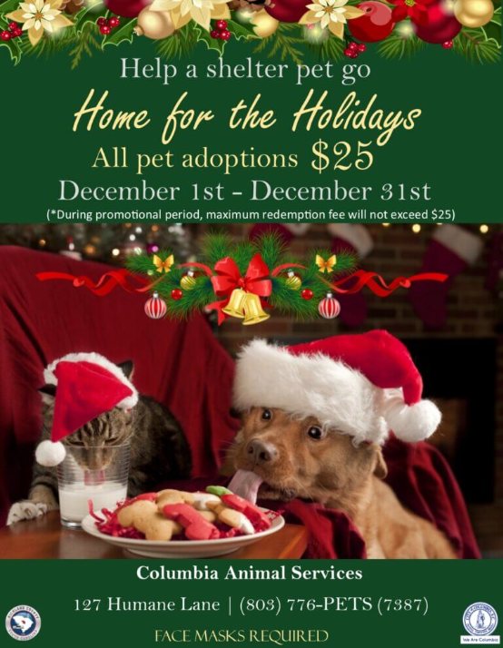columbia animal services holiday pet adoption